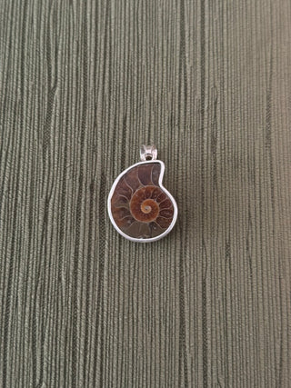 ammonite pendant