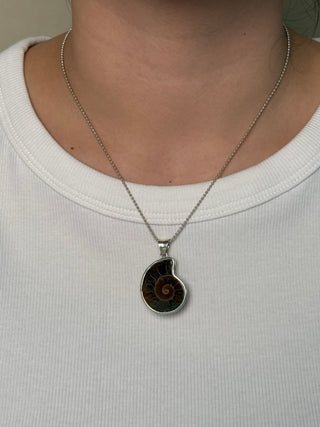 ammonite pendant
