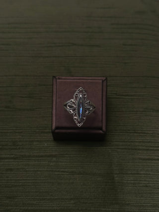 whimsy abalone ring - Chula Co.
