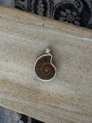 fossil spiral ammonite pendant - Chula Co.