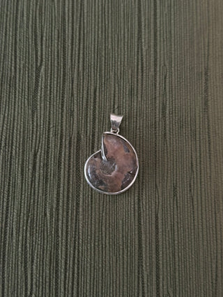 ammonite pendant